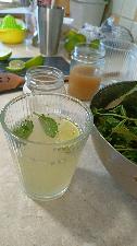 Mint Mojito
